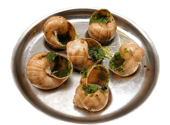 Escargots de Bourgogne frais Barquette de 36