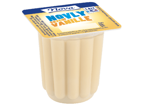 Dessert lacté saveur vanille 4x100g